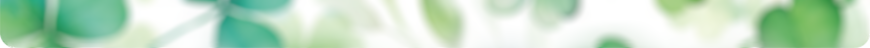 Schmuckbild unten